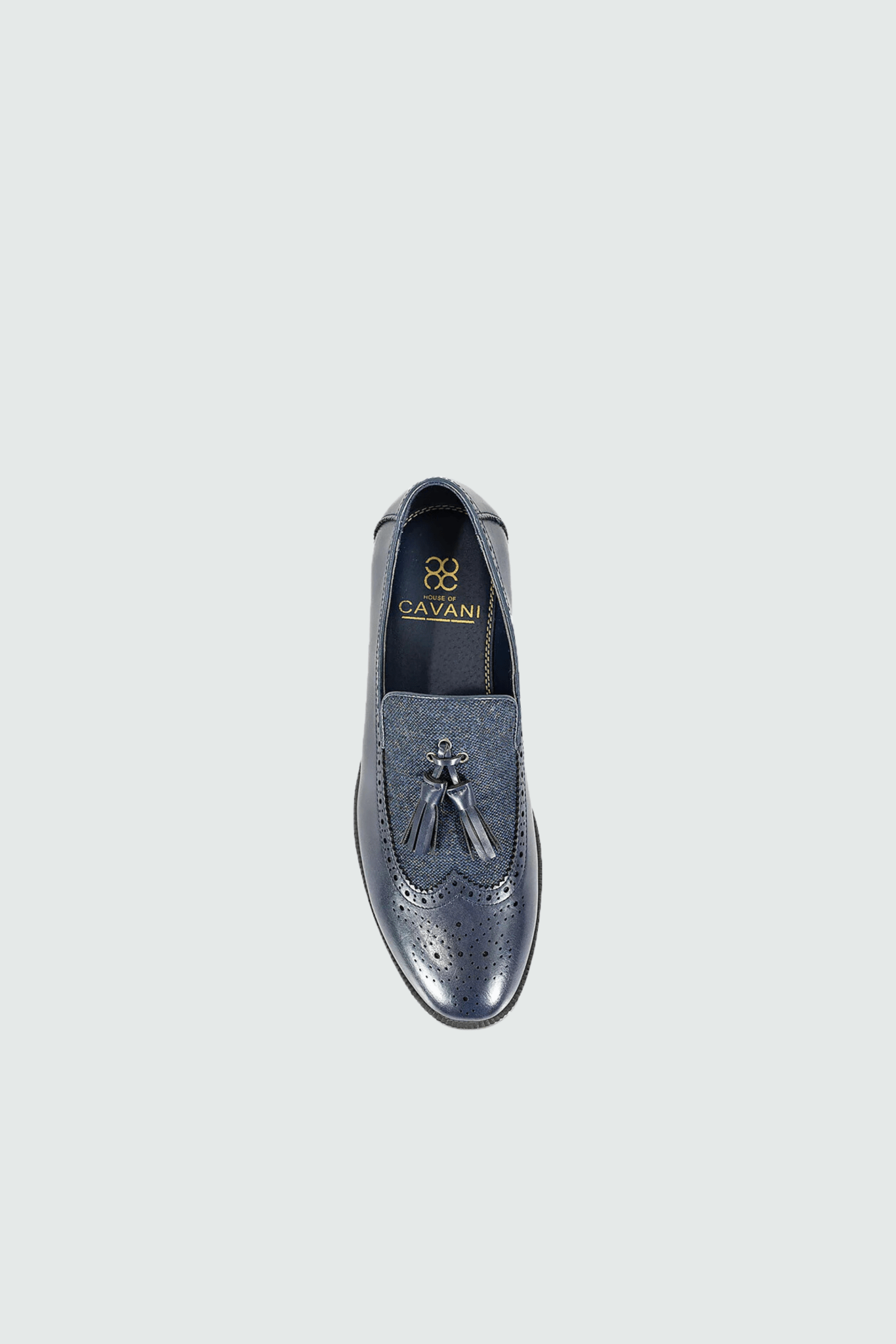 Lucius Navy Loafer