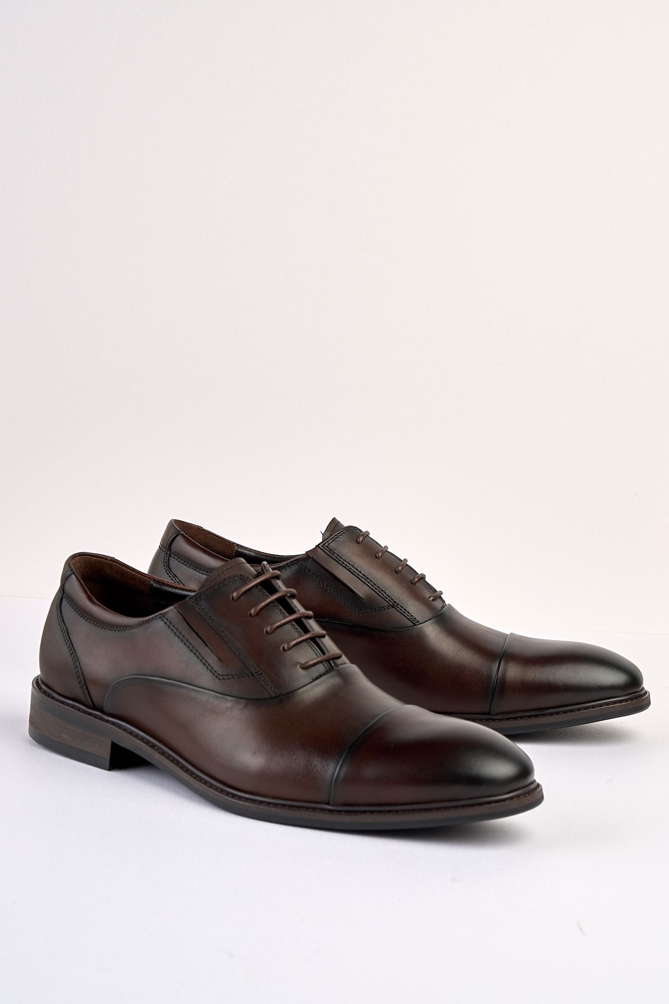 Regal Brown Laced Shoe