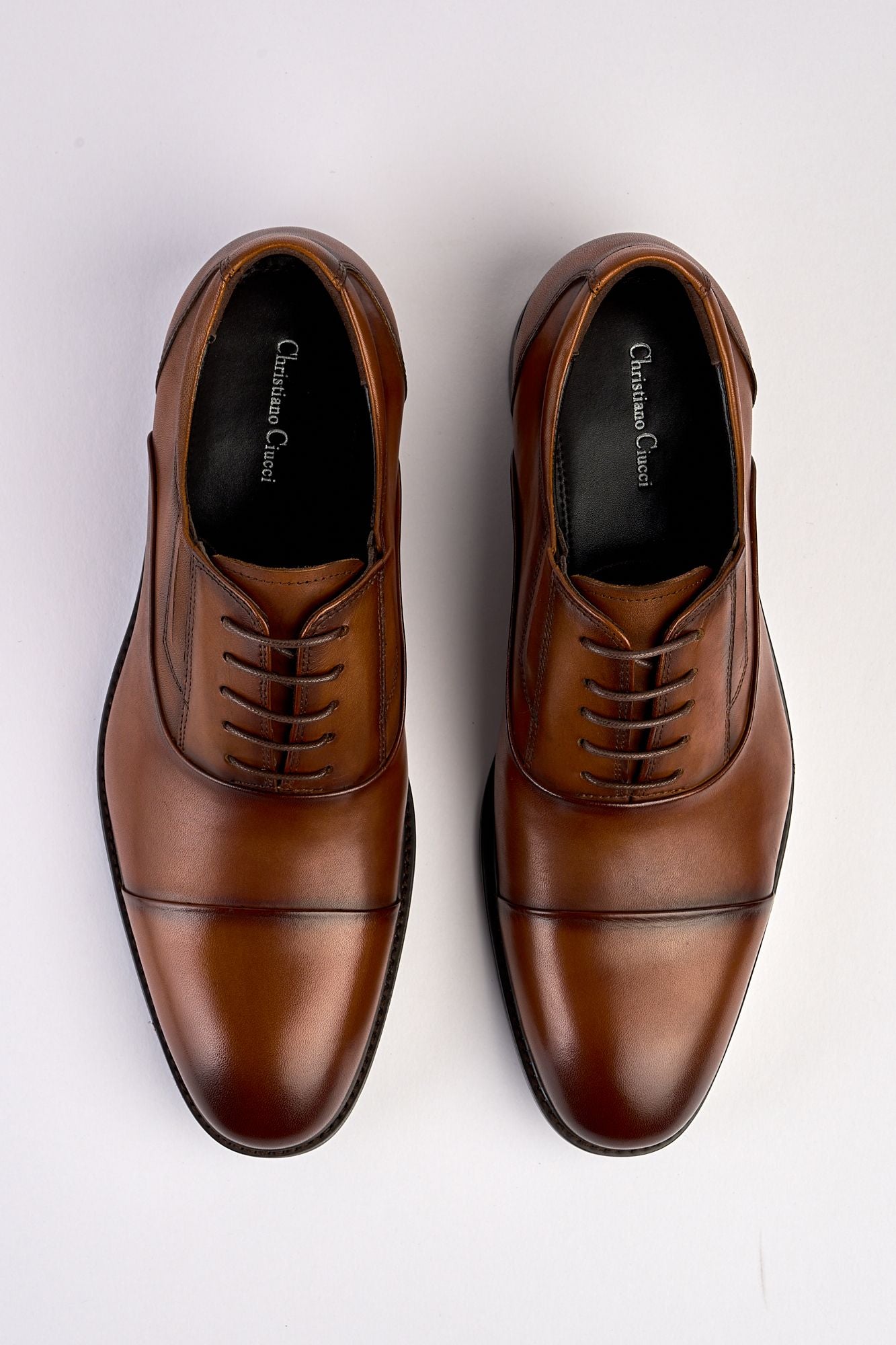 Regal Tan Laced Shoe