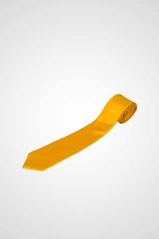 Gold Tie set Gold Tie set