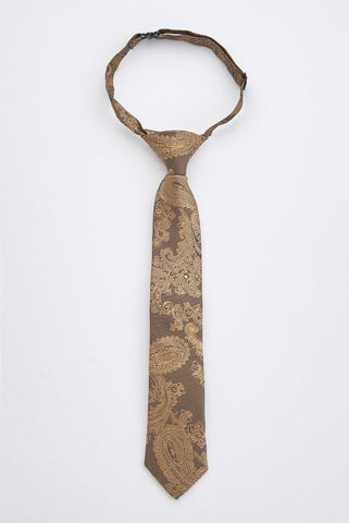 Junior Brown Paisley Tie Junior Brown Paisley Tie