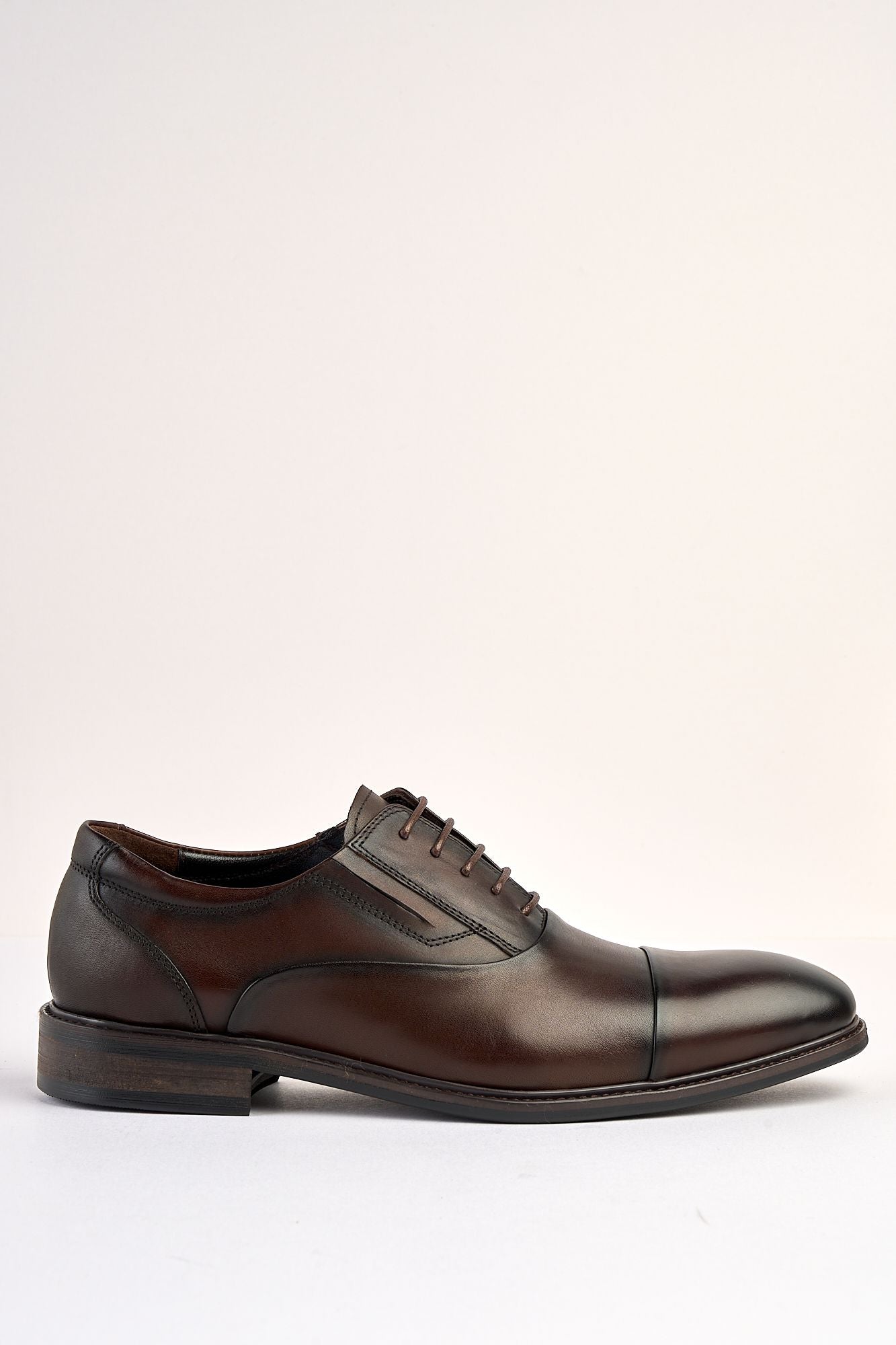 Regal Brown Laced Shoe