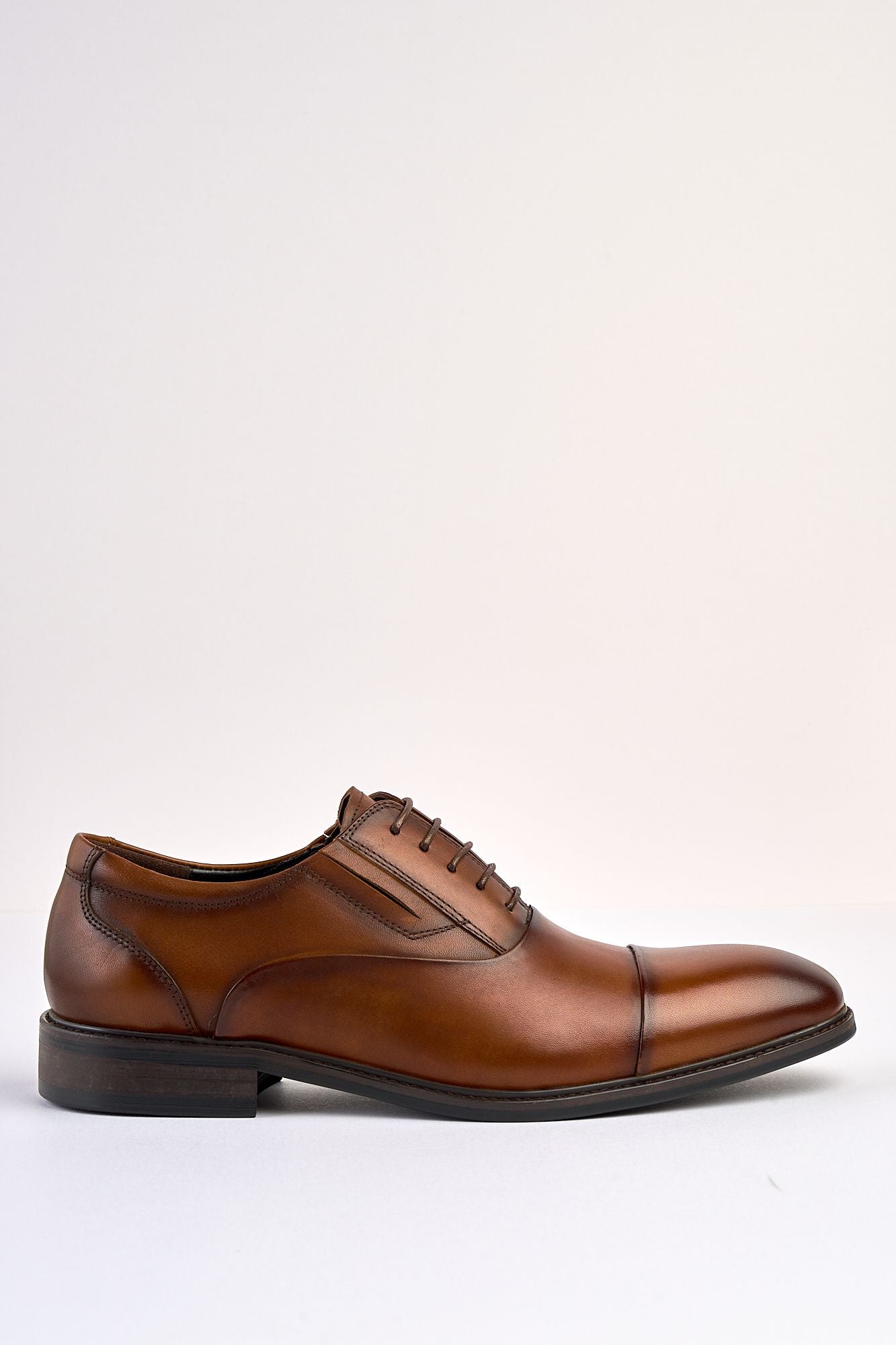 Regal Tan Laced Shoe