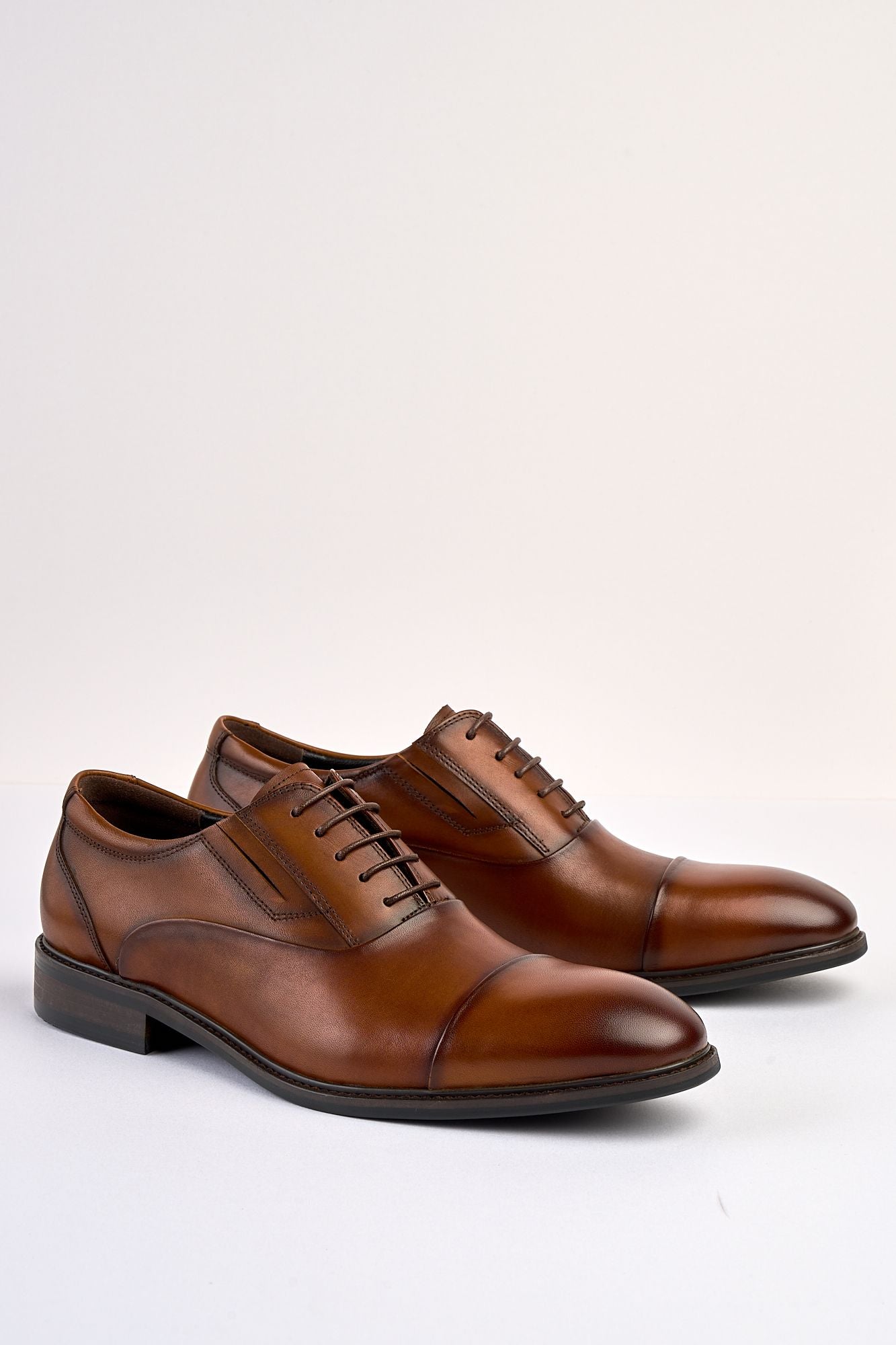Regal Tan Laced Shoe
