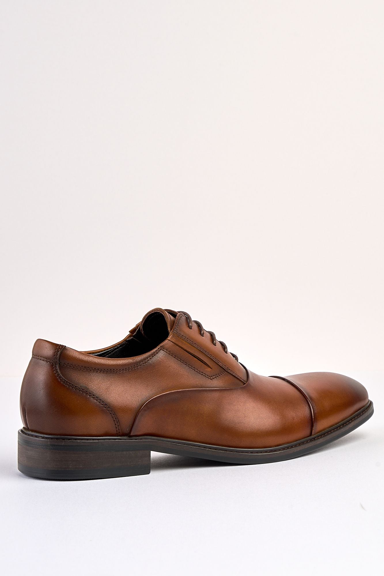 Regal Tan Laced Shoe