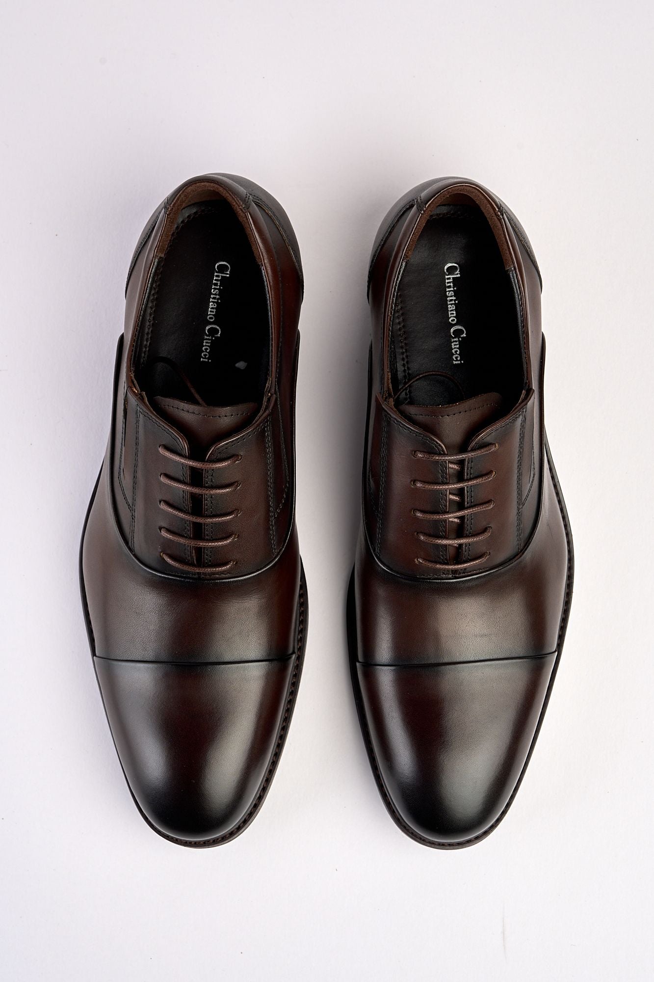 Regal Brown Laced Shoe