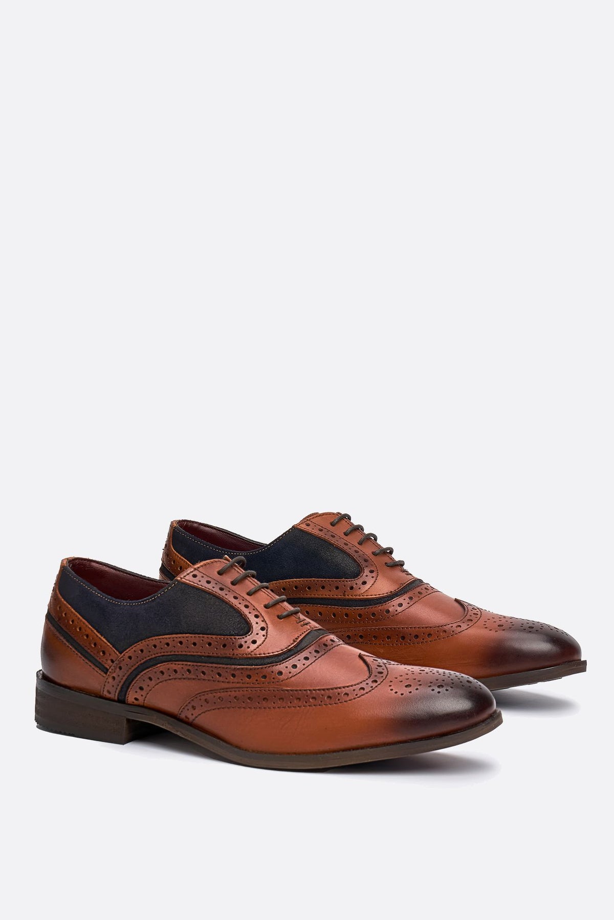 Cavani Evora Shoes