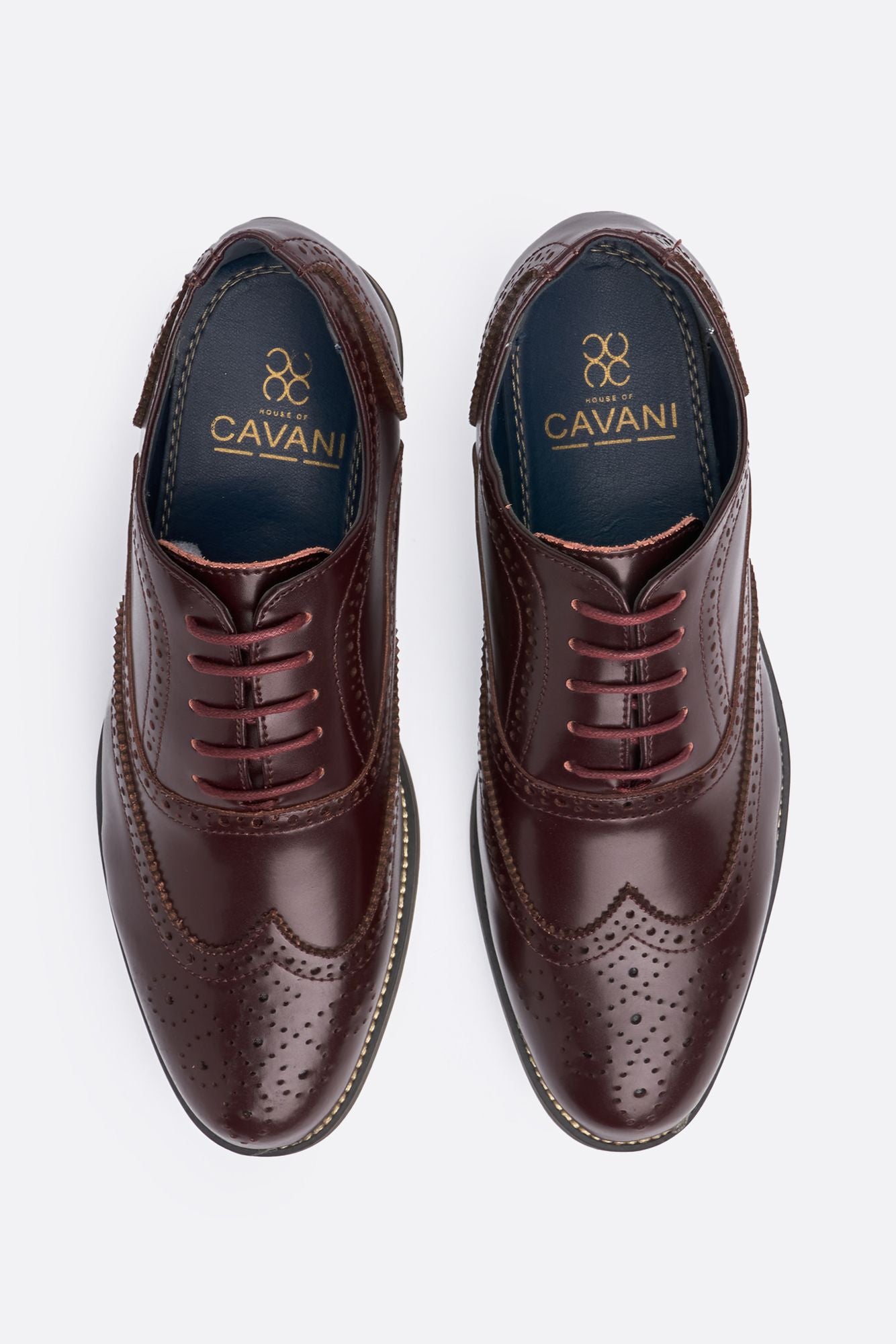 Clark Wine Shoes