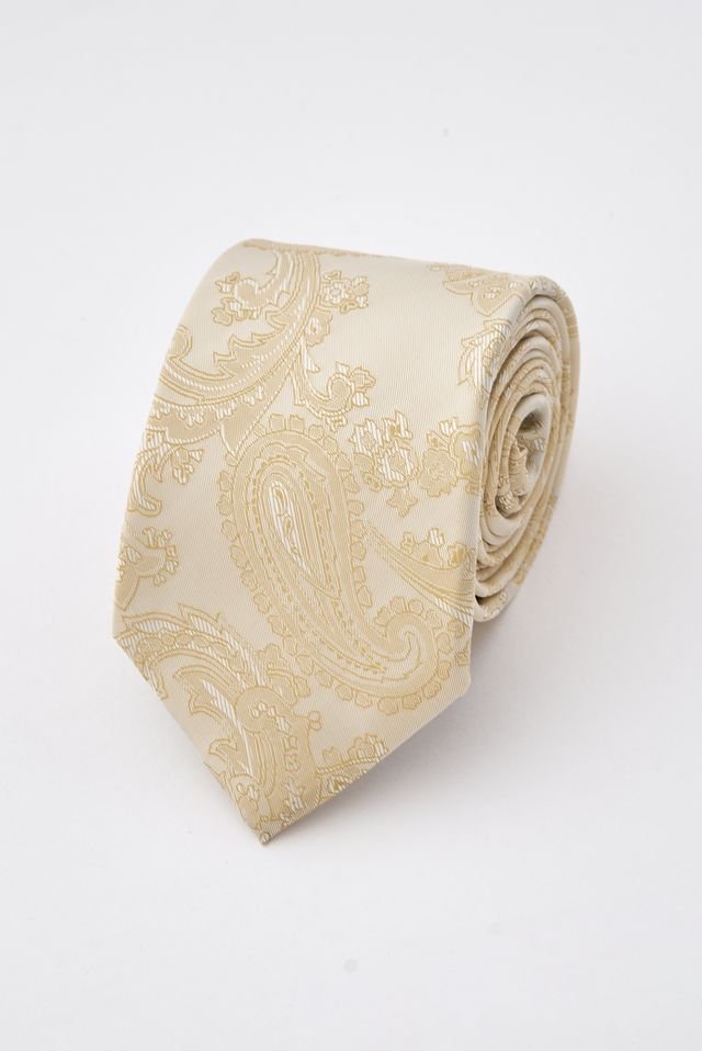 Champagne Paisley Tie Set with Tie Bar & Cufflinks