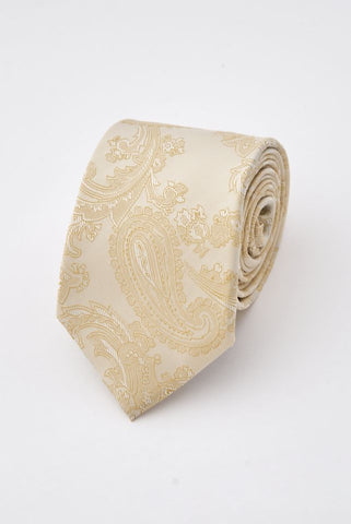 Champagne Paisley Tie Set with Tie Bar & Cufflinks