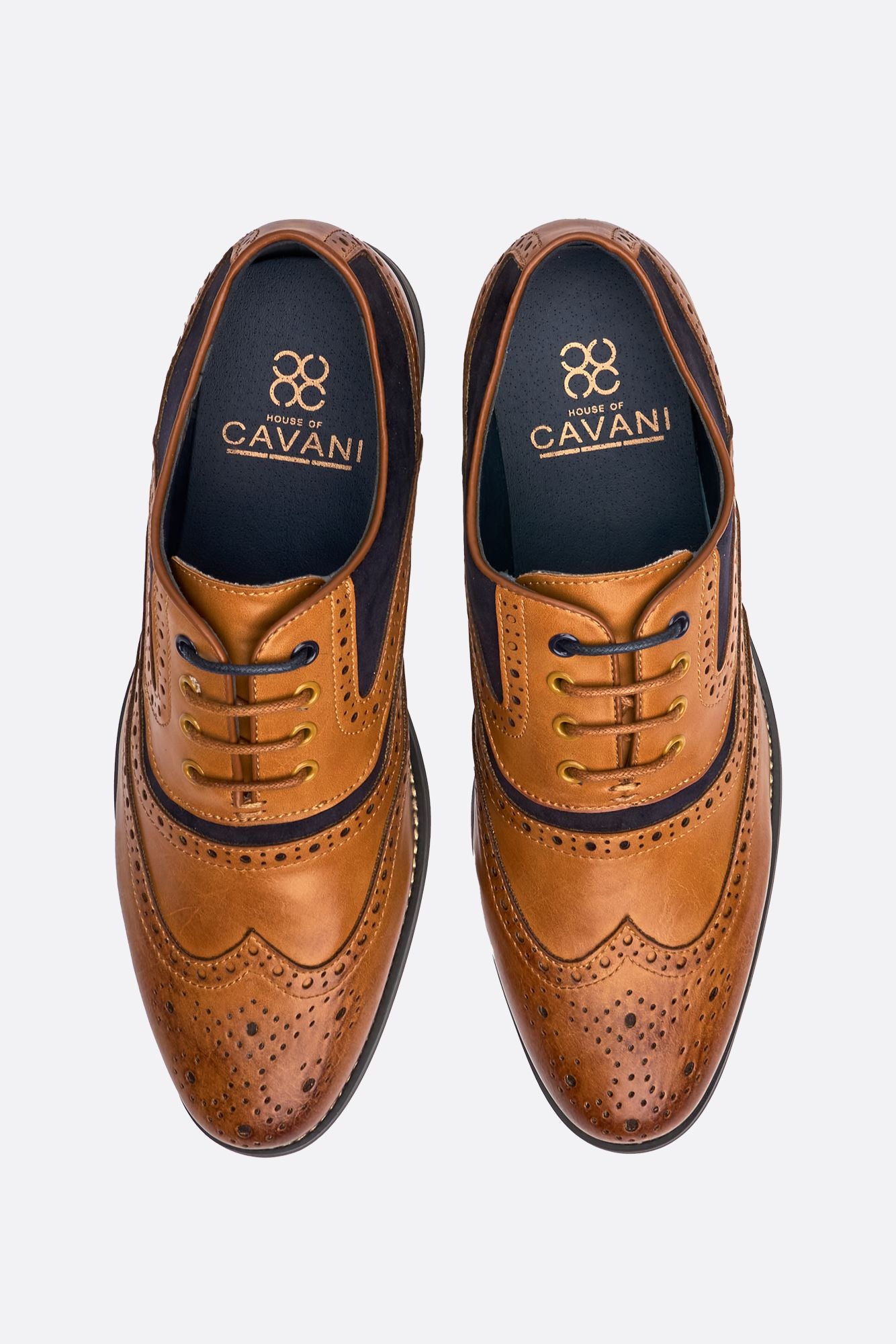 Russel Tan / Navy Shoes