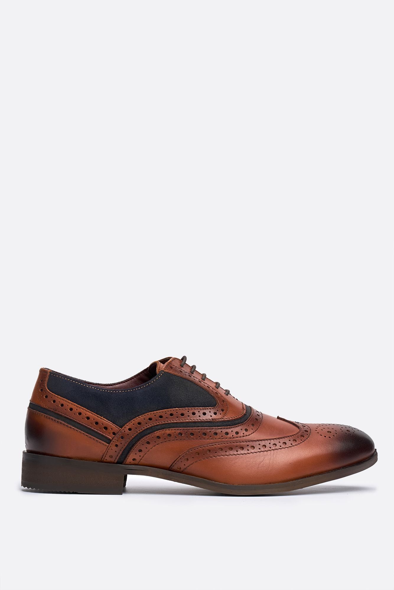 Cavani Evora Shoes