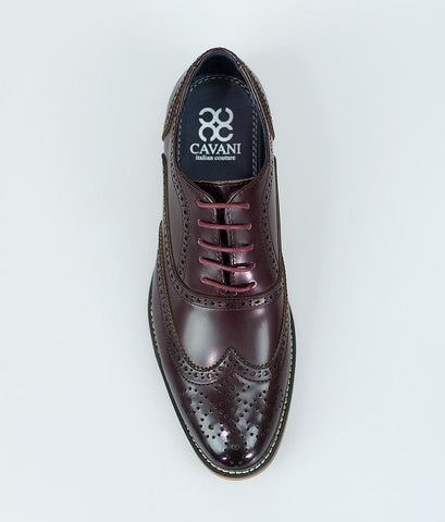 Cavani Oxford wine brogue shoes